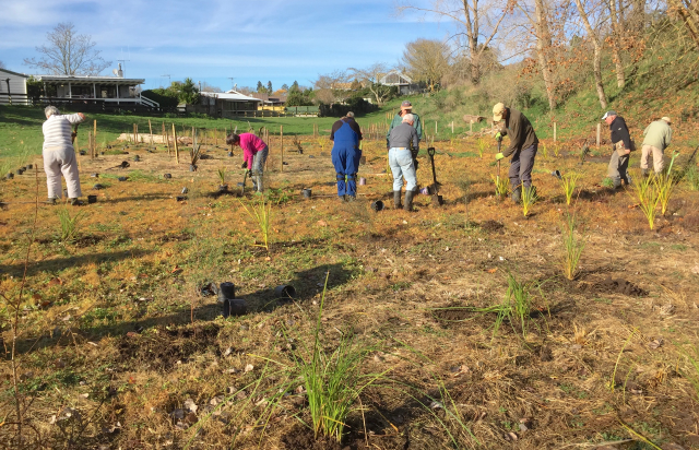 At the bottom 9. Cambridge Tree Trust